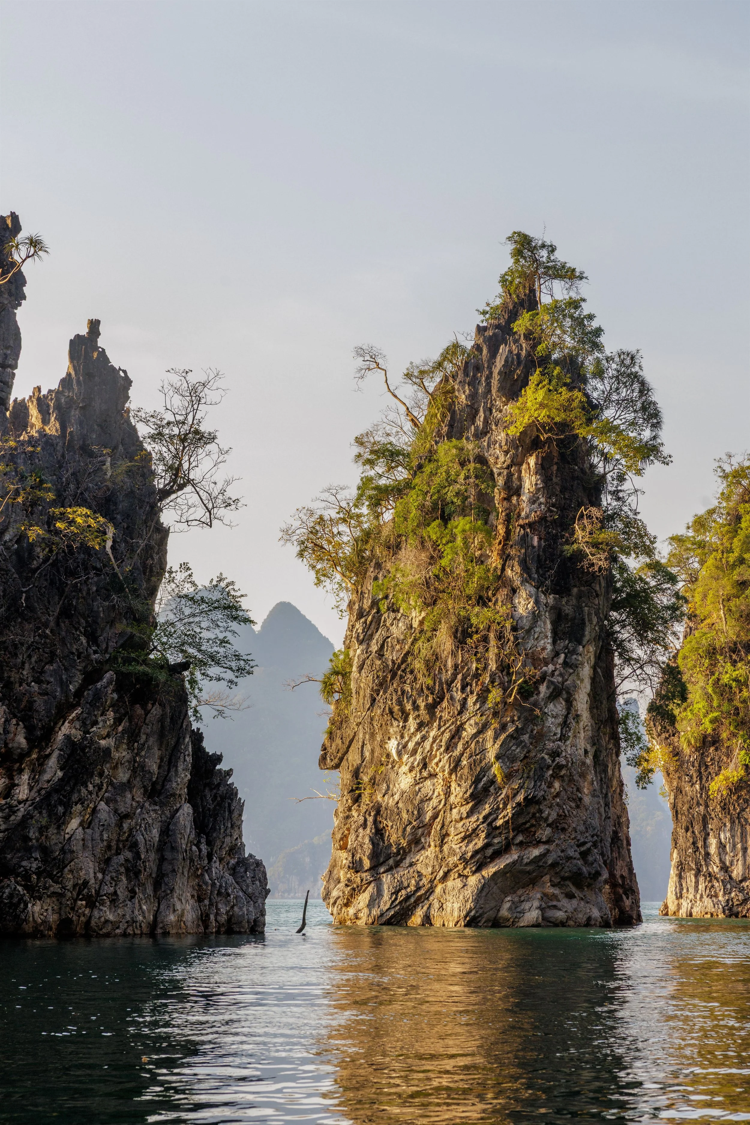 Thailand 2025 IMGC8698 Export.jpg