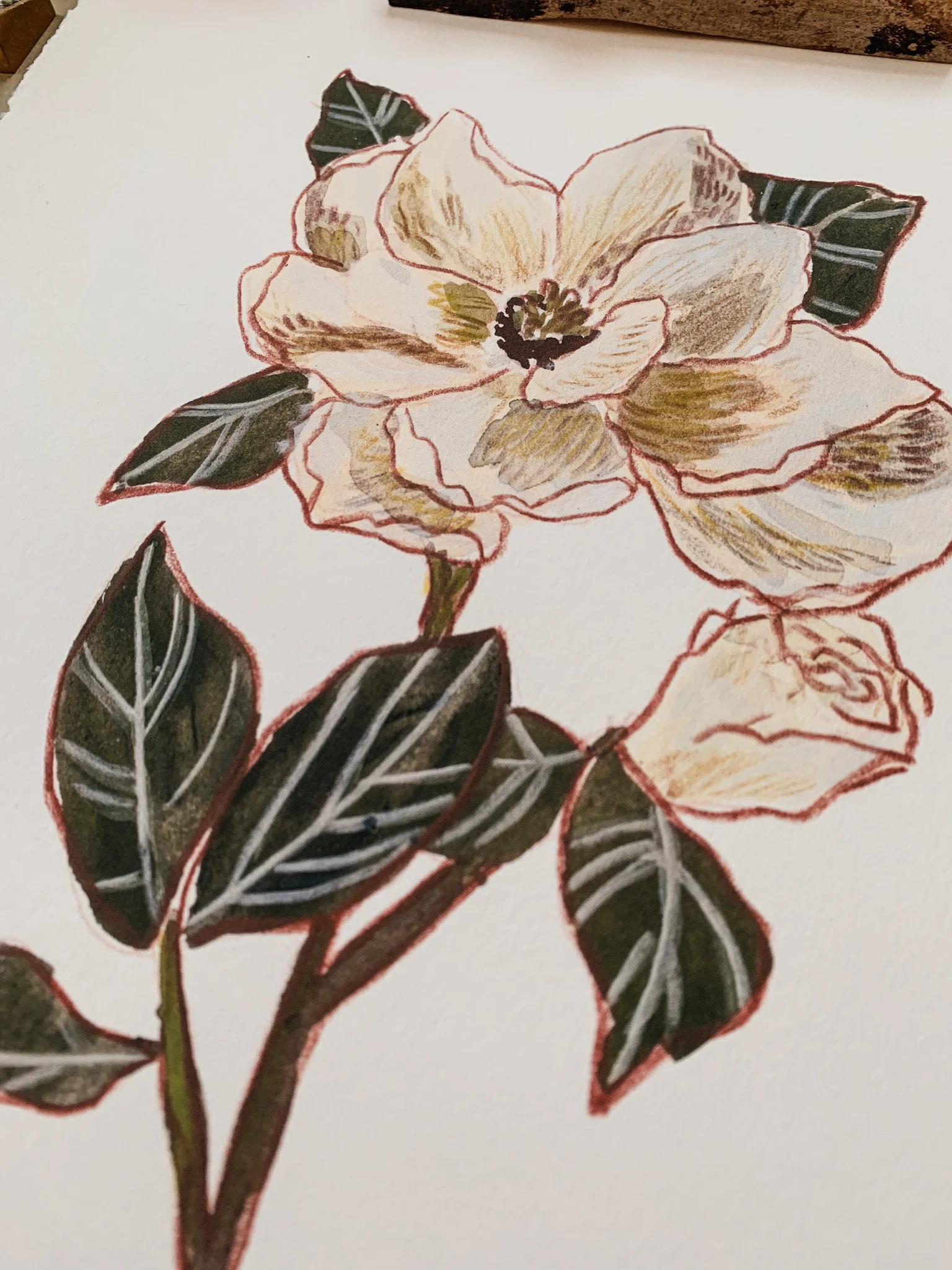 Magnolia Print_PatsyShaw_3.jpg