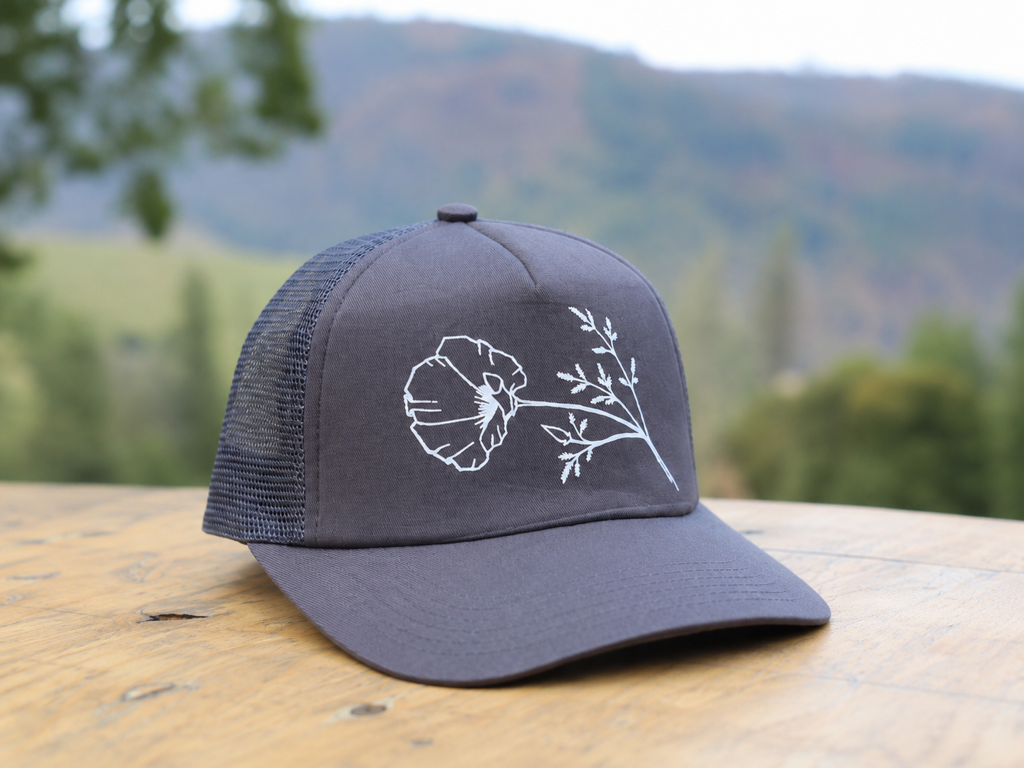 new hat 1.png