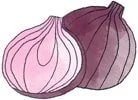 kebab oignon rouge