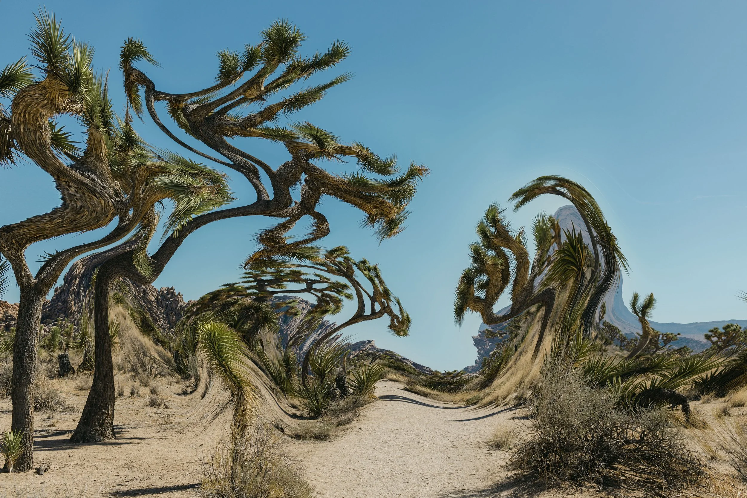 jtree_landscape_liquid_1.jpg