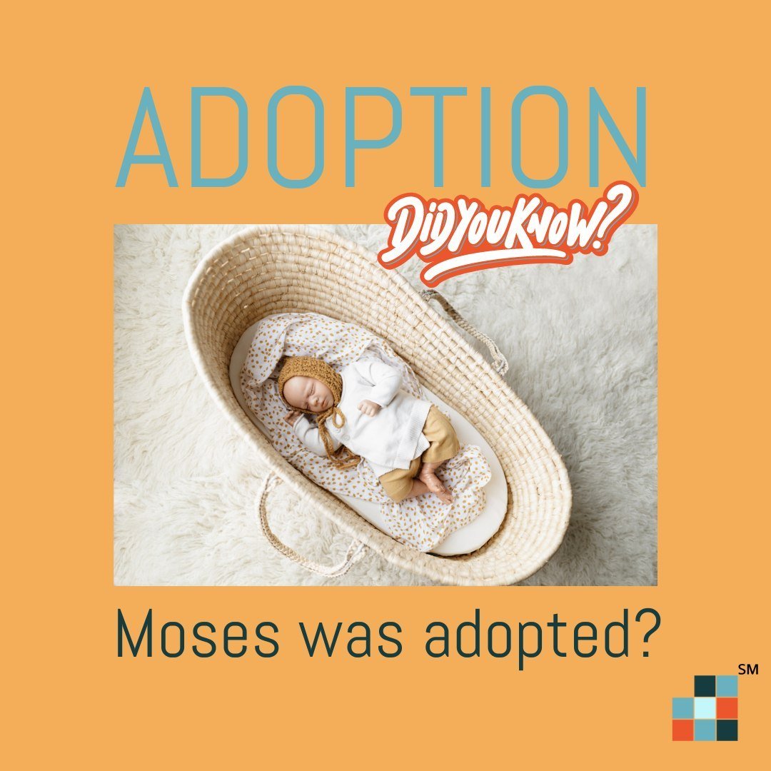 ❓ Did you know? Moses, one of the most prominent figures in Jewish history, was adopted! According to the biblical story, Moses was born to Jewish parents during a time when the Pharaoh ordered the killing of all Jewish baby boys. To save Moses from 