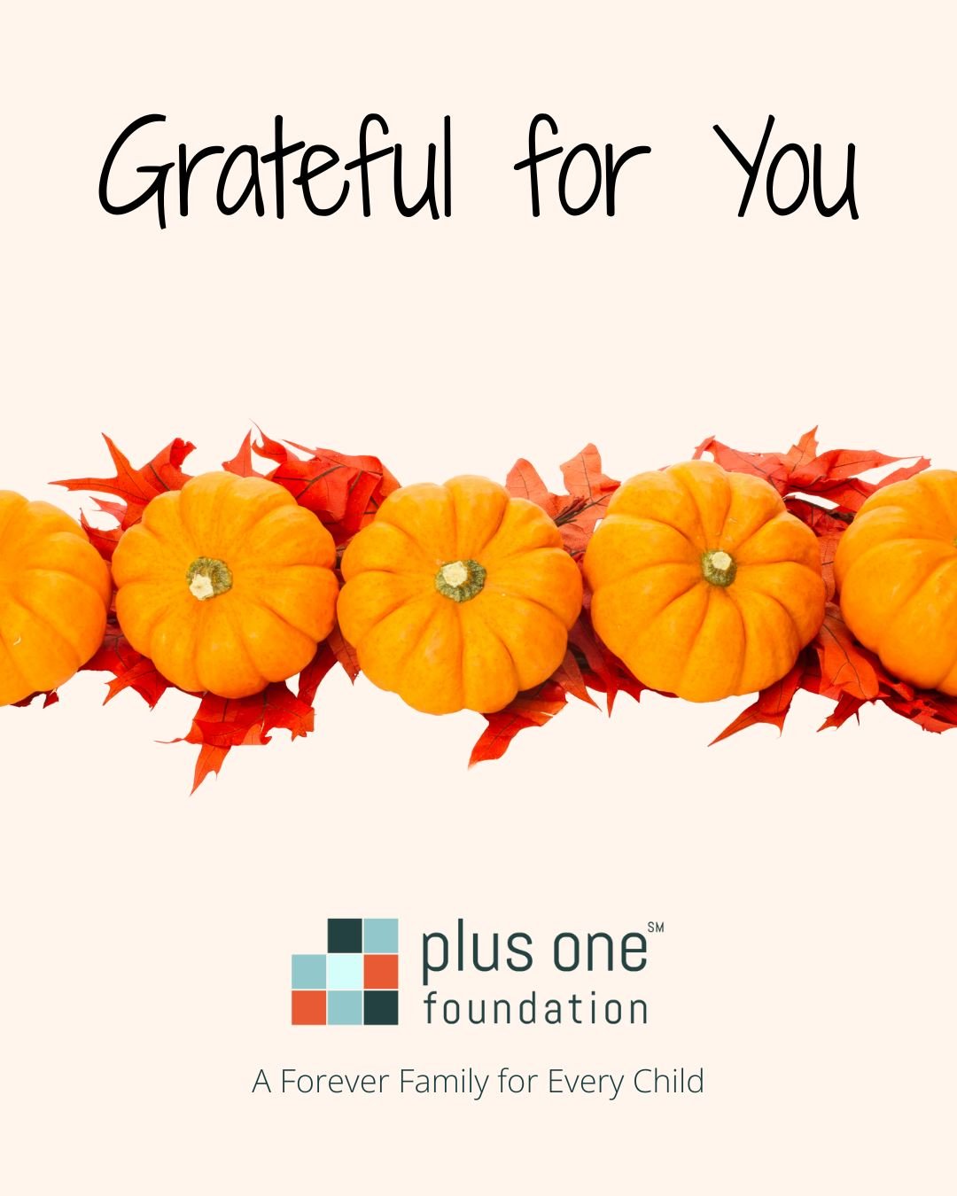 🧡 Happy Thanksgiving!

Today, we&rsquo;re grateful for you &mdash; our community of families, adoptees, supporters, and partners who help us share vetted resources and promote A Forever Family for Every Child.

You helped us cross 1,000 followers.
Y