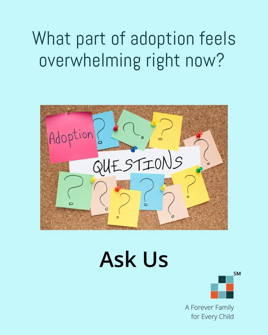 Let&rsquo;s talk about it&mdash;

What part of adoption feels the most overwhelming right now?

The process?
The unknowns?
Where to even begin?

Drop a comment or send a message. You&rsquo;re not the only one asking these questions. 💛

#PlusOneAdopt