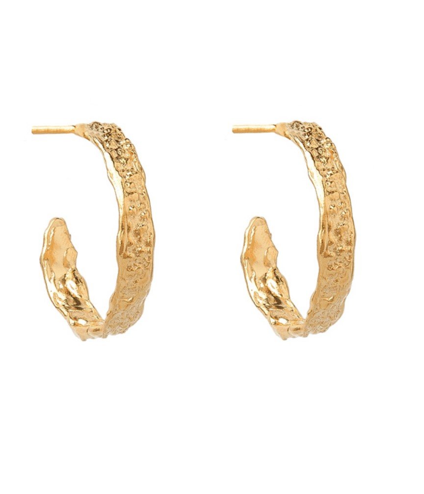 The Divine Hoops