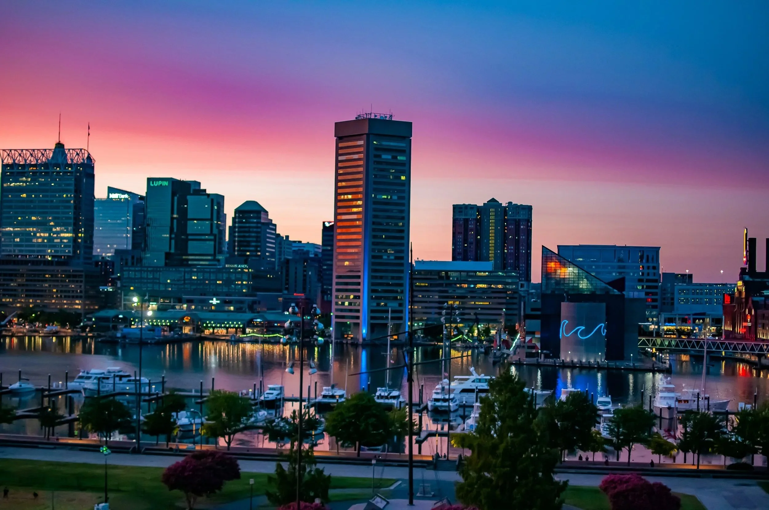 A city skyline at dusk with high-rise buildings, a marina with boats in the water, and a park with trees and flowers in the foreground.