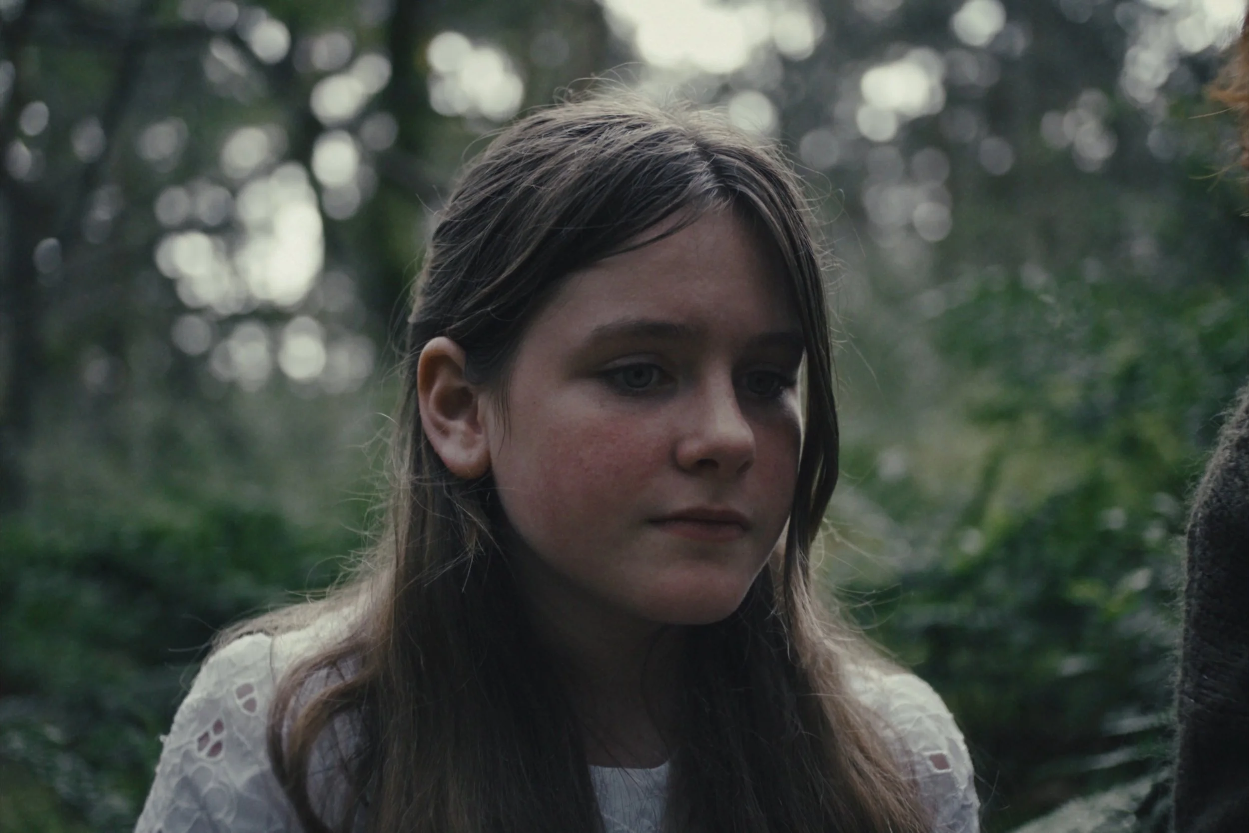 Still 2026-01-04 100237_1.17.1.jpg