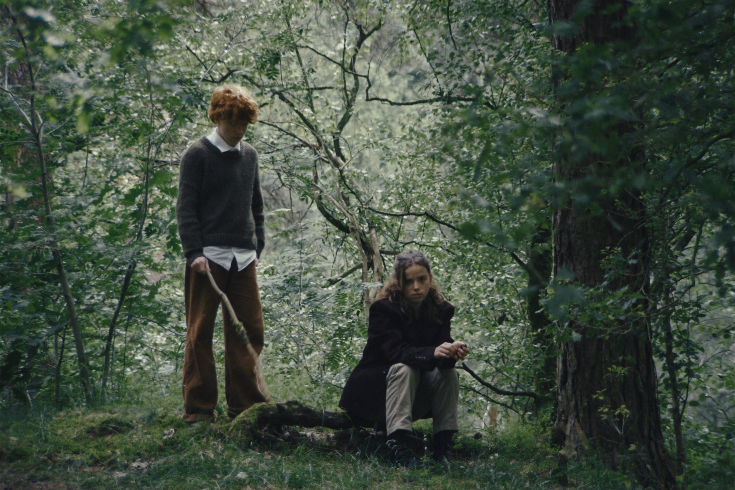 Still 2026-01-04 100237_1.5.1.jpg