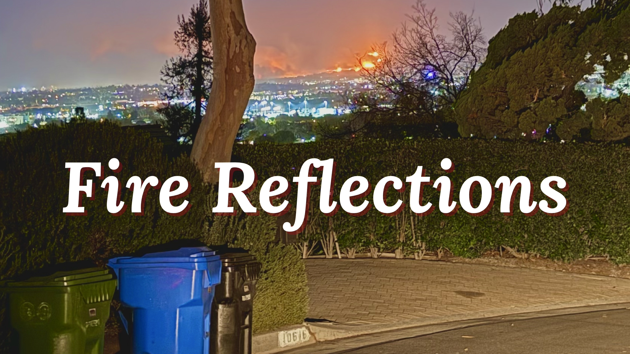 LA Fires + 2025 Reflection