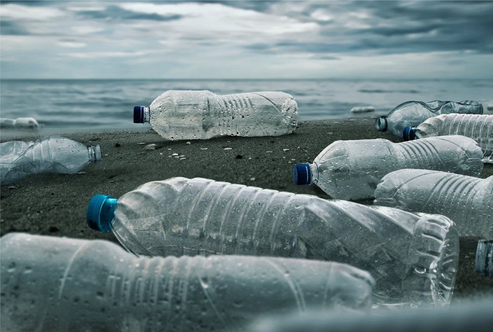 Drink Tahoe Tap drink-tahoe-tap