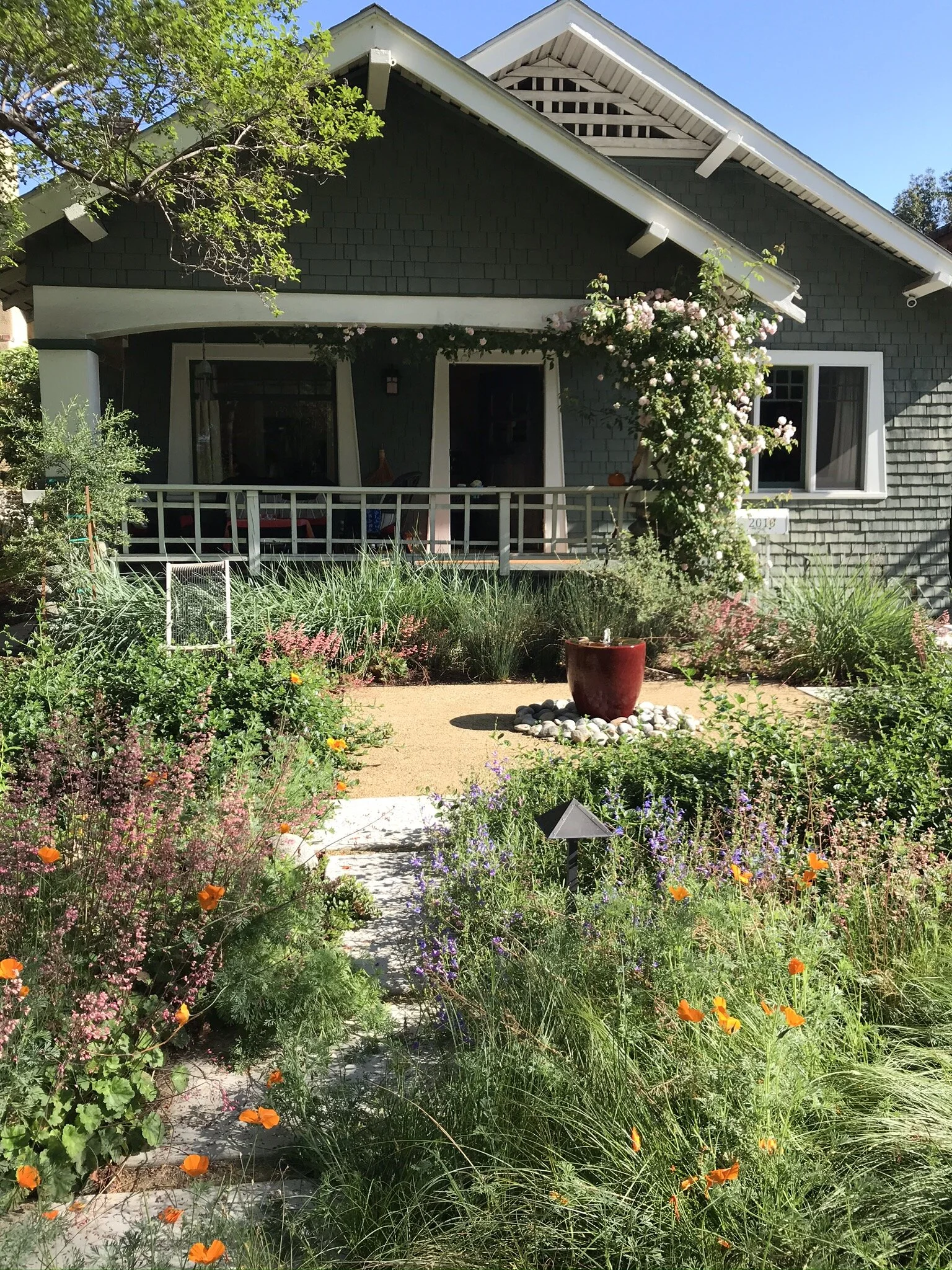 The front garden in its full Spring glory, April 2020 (three years after installation). Below are images of the installation process and of visitors—human and animal—enjoying the garden.