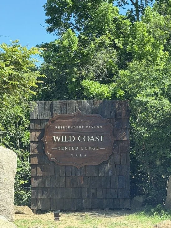 Hotel Review: Wild Coast Tented Lodge, Yala