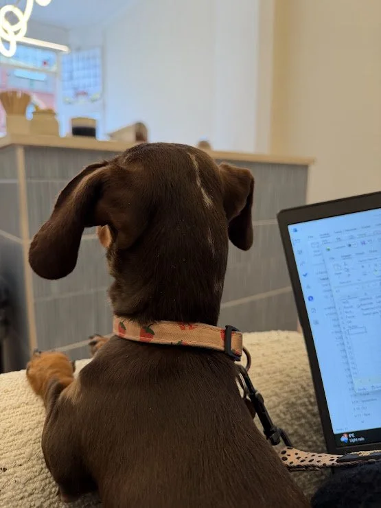 Behind The Scenes: A Day In The Life Of Your Personal Travel Counsellor