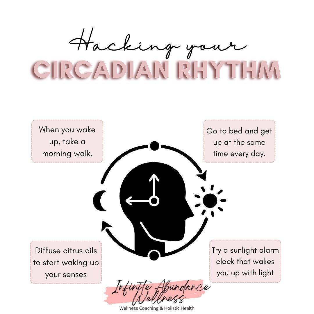 .
☀️The circadian rhythm, also known as your internal body clock, is responsible for making you feel alert and sleepy throughout the day. 

☀️Ideally, you should feel most alert early in the morning and sleepy as it becomes darker and later in the da