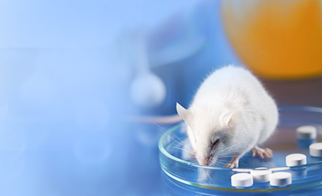 Why We Need Animal Testing Alternatives — Bruins Opposing Speciesism