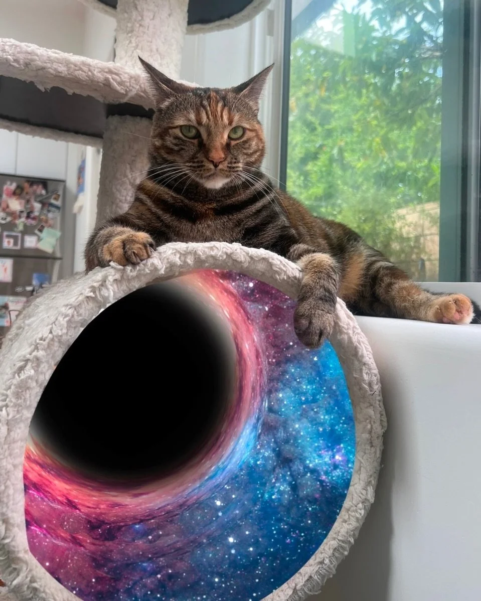 every day is a portal 🌀