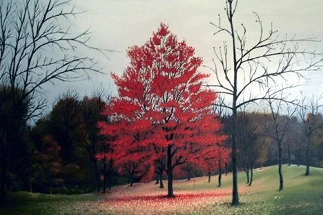     Red Tree (Mark)  , 2006  Oil on canvas, 20 x 32 in., Collection of the Artist  