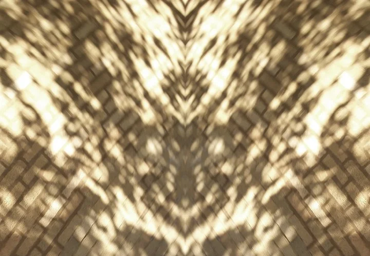 Inkblot (Sidewalk Shadows), 2019, digital photograph