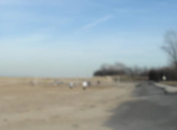 Montrose Beach, 2012, digital photo