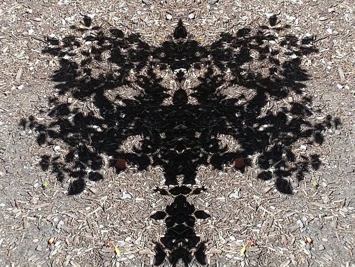 Inkblot (Sidewalk Shadows), 2019, digital photograph