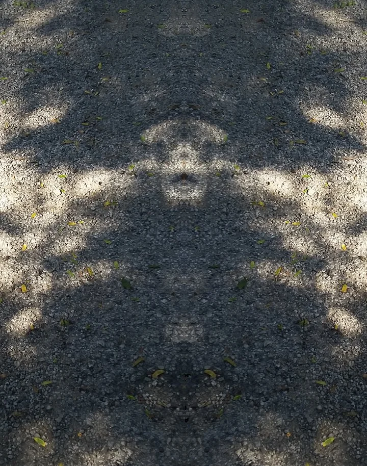 Inkblot (Sidewalk Shadows), 2019, digital photograph