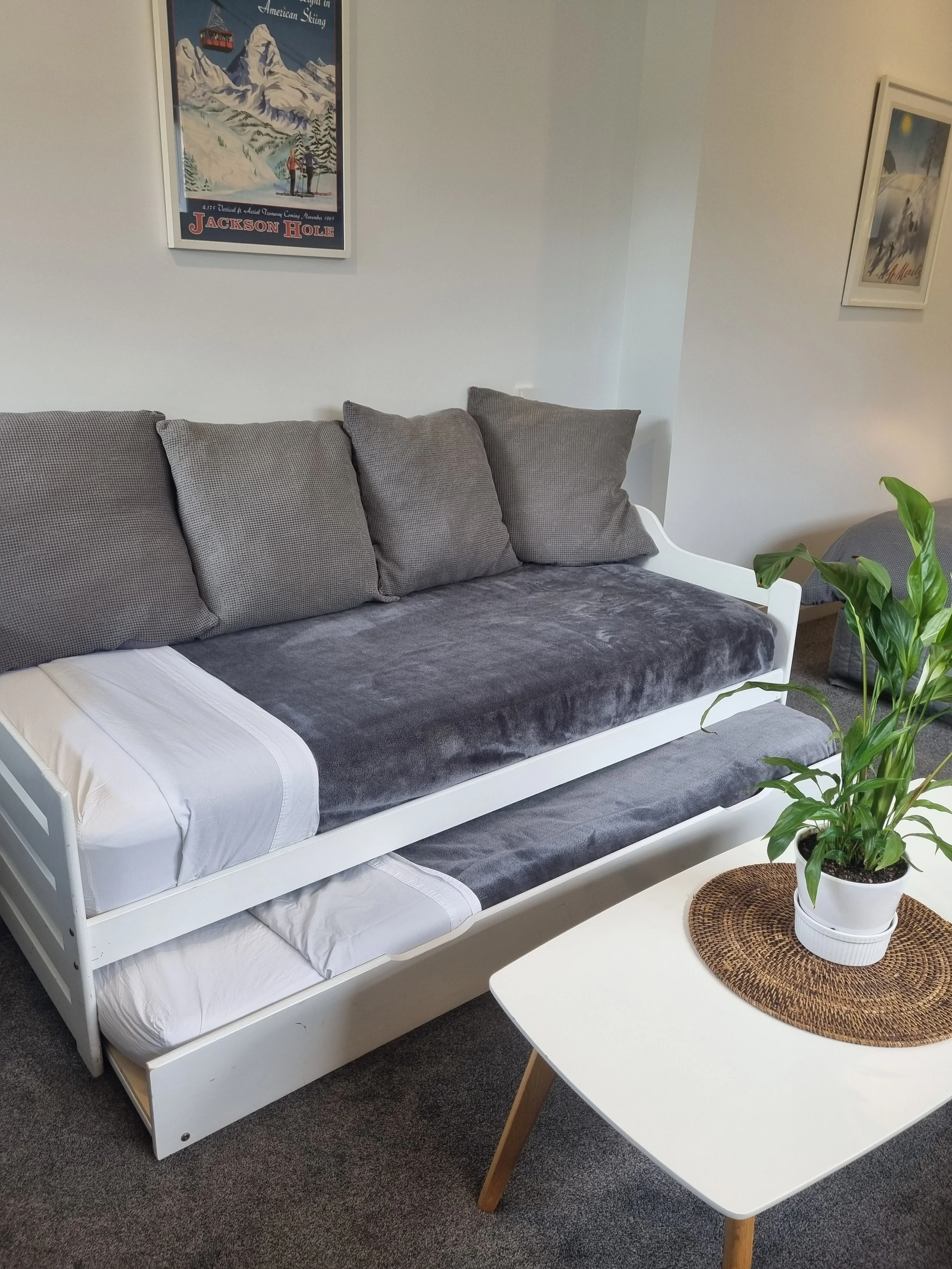 Two single beds made up