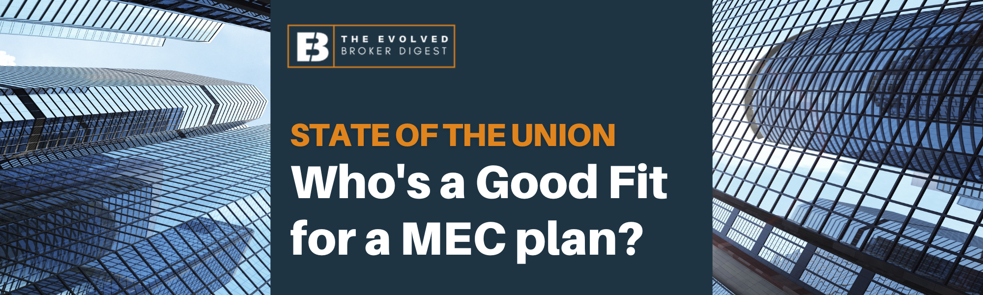 Who's a Good Fit for a MEC plan?