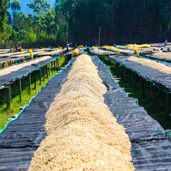 Screen Shot 2025-12-13 at 9.02.17 PM.png