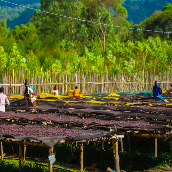 Screen Shot 2025-12-13 at 9.02.02 PM.png