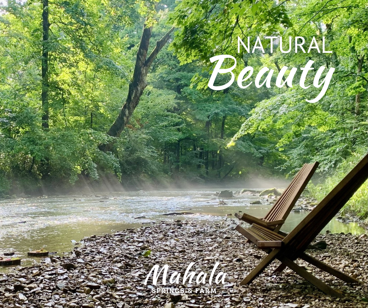 7-7-25 Mahala Beauty.png