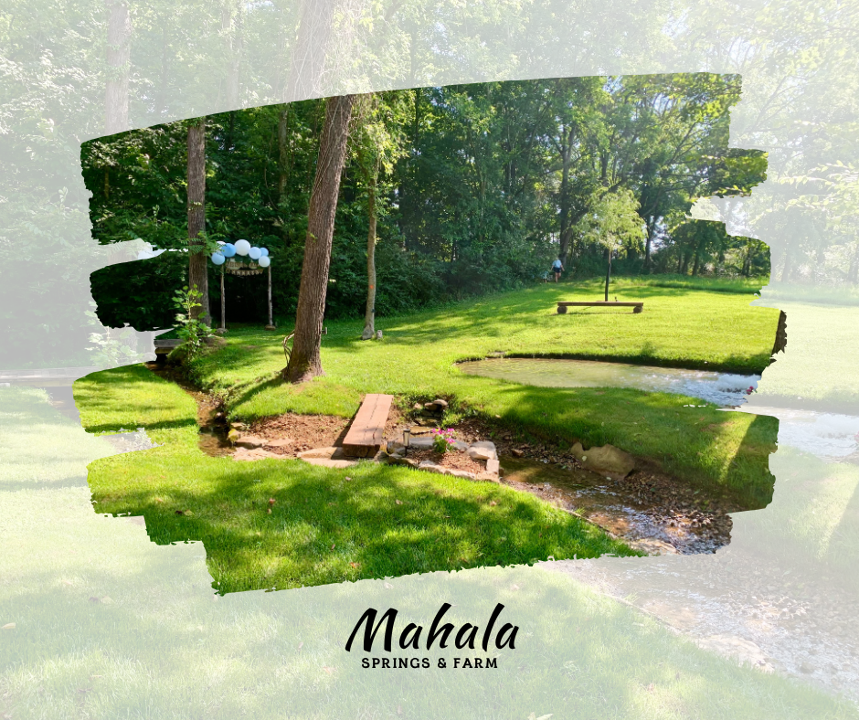 Mahala FB Post.png