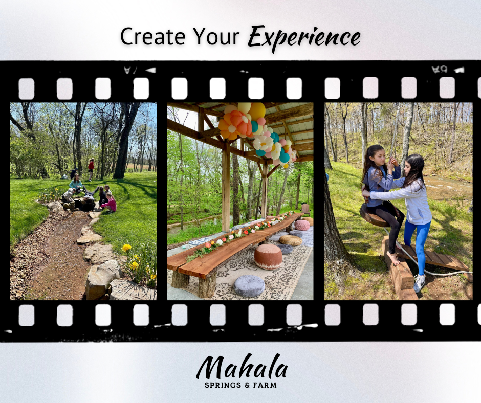 Create Your Experience 3 photos.png