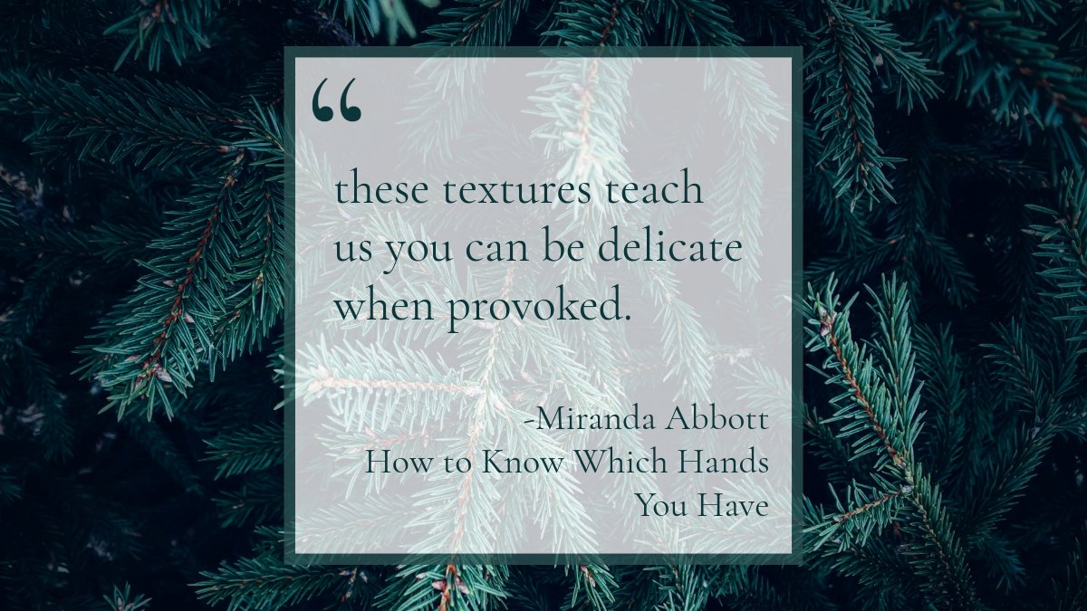 Miranda Abbott