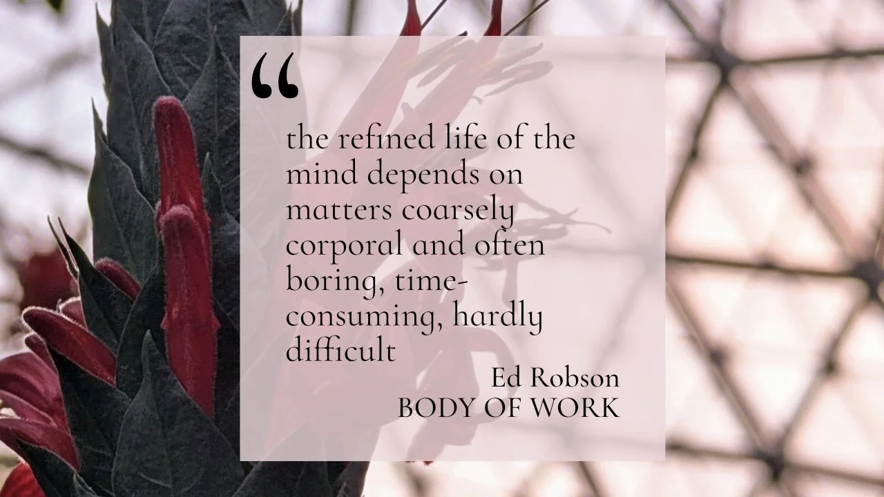 Ed Robson