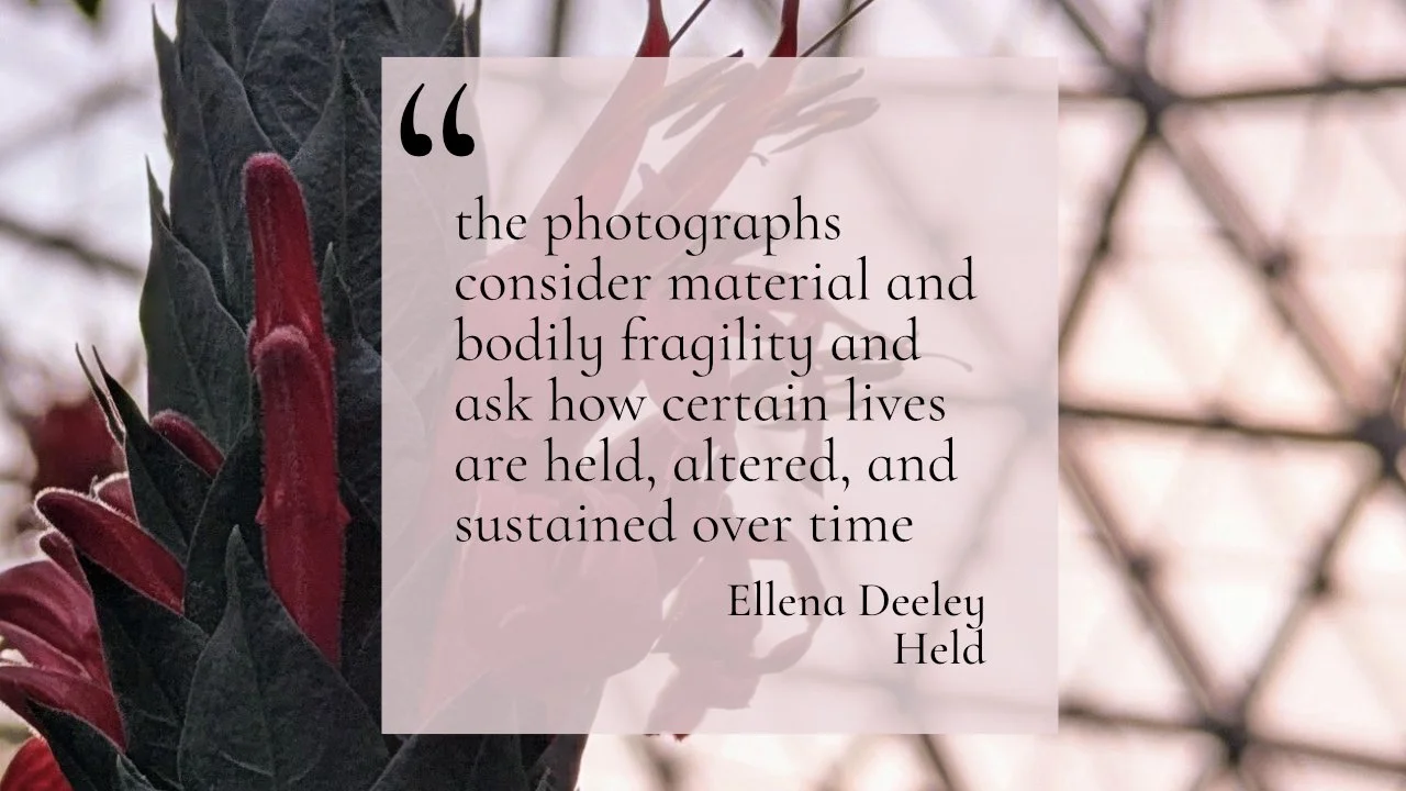 Ellena Deeley