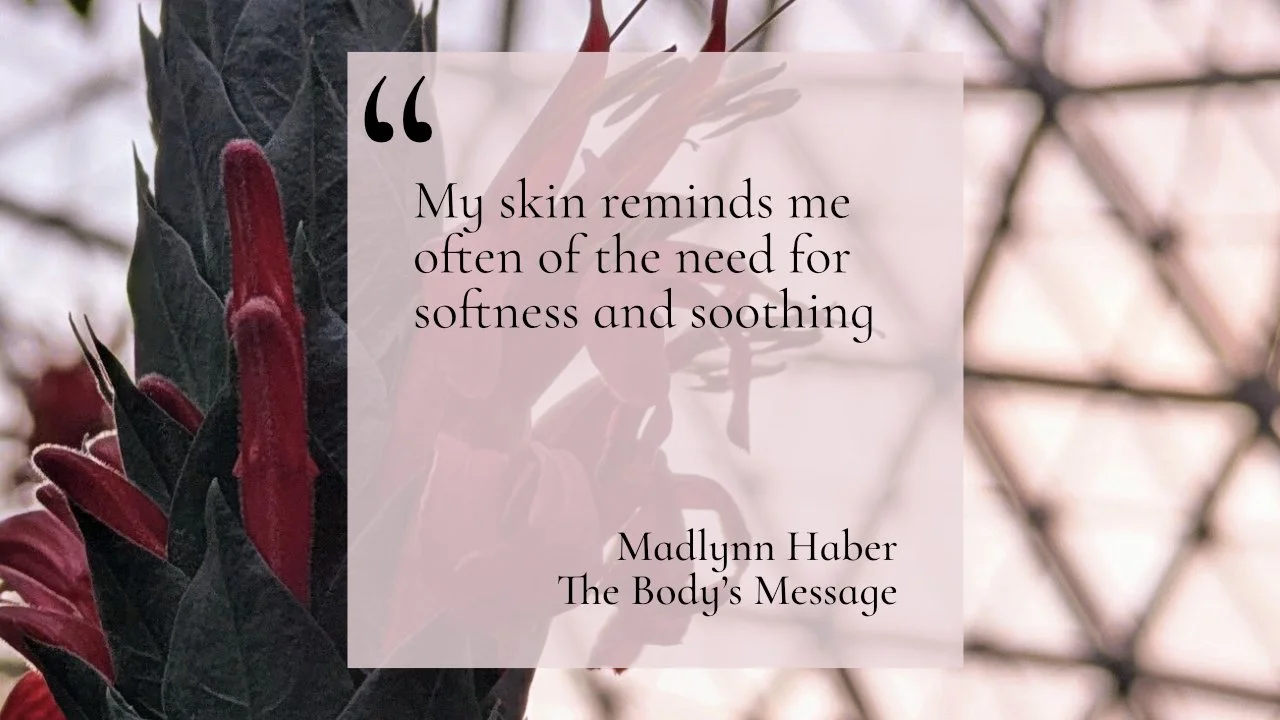 Madlynn Haber