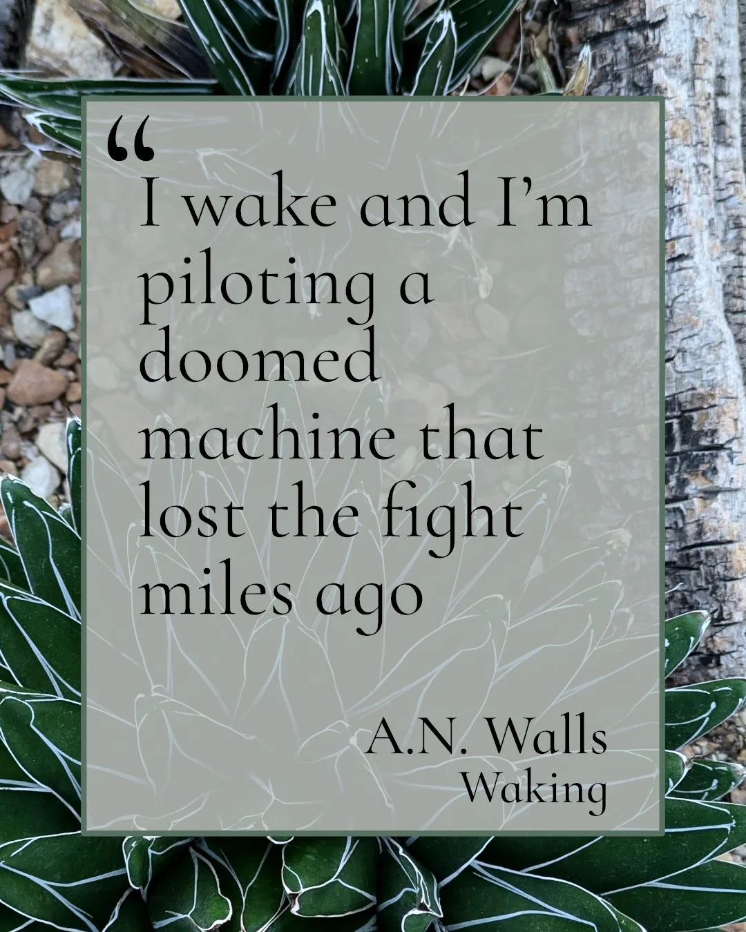 A.N. Walls