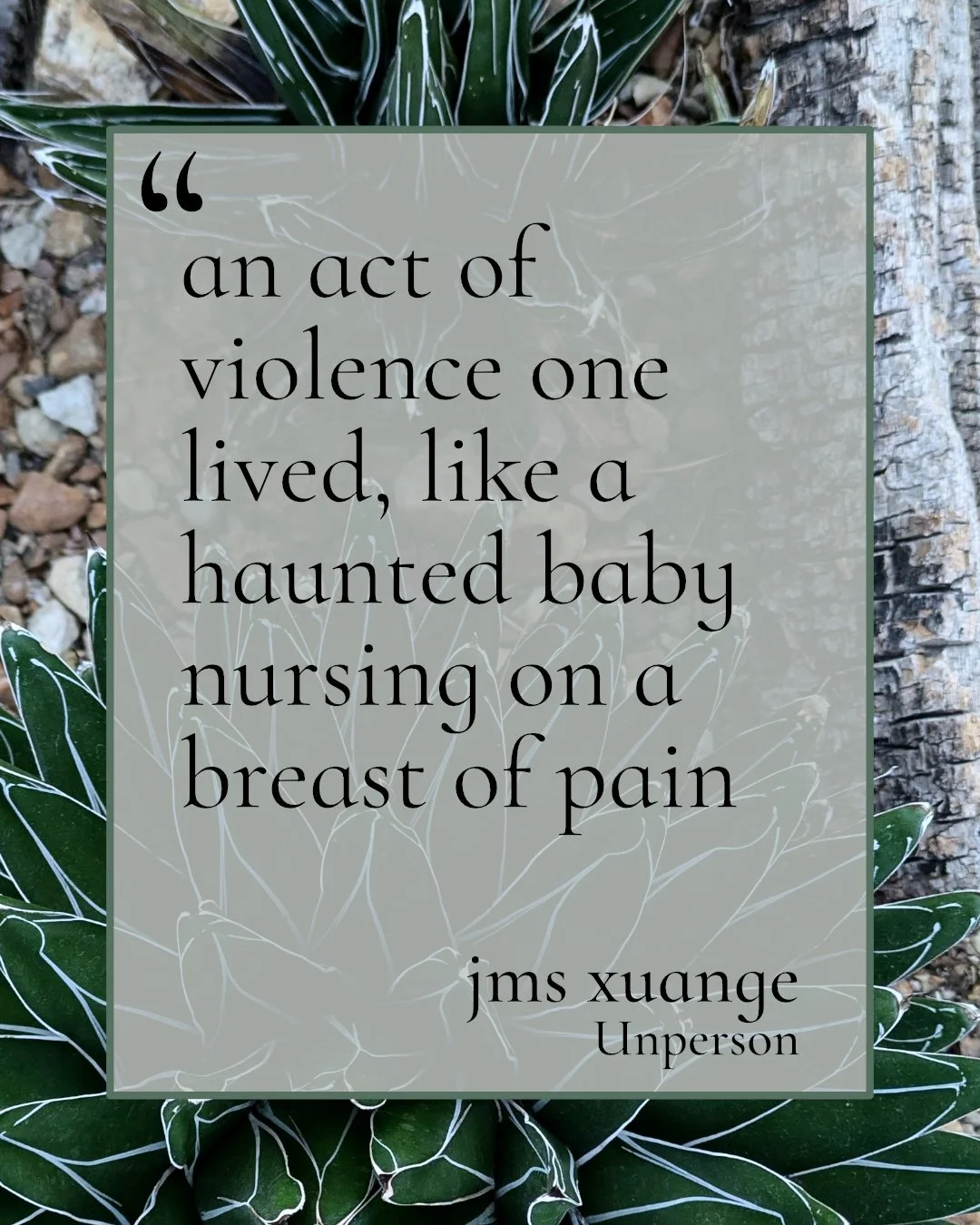 jms xuange