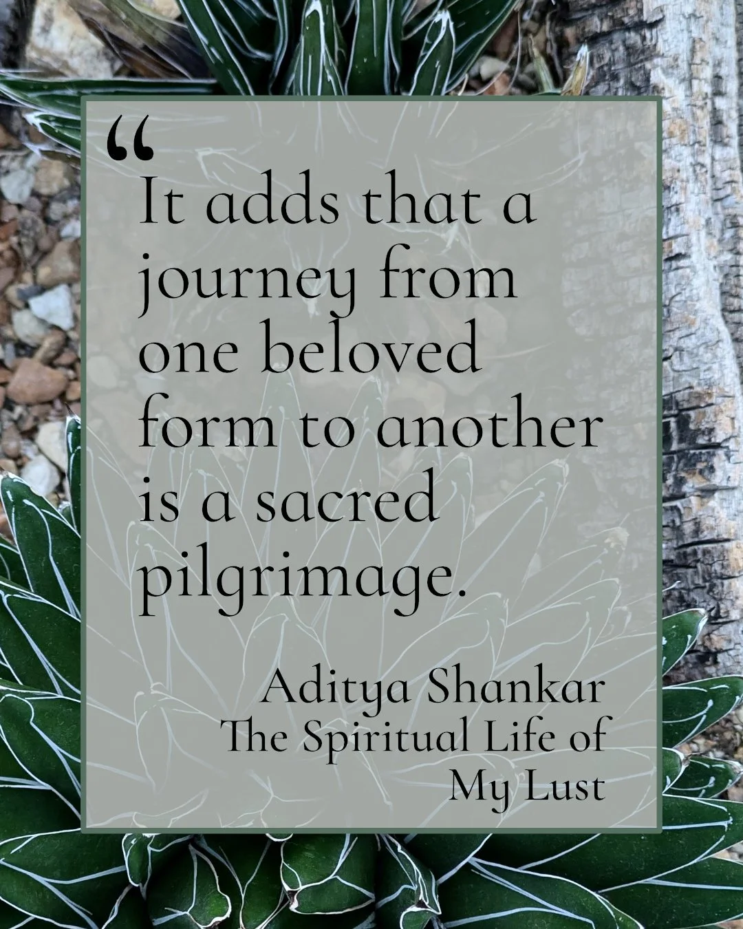 Aditya Shankar