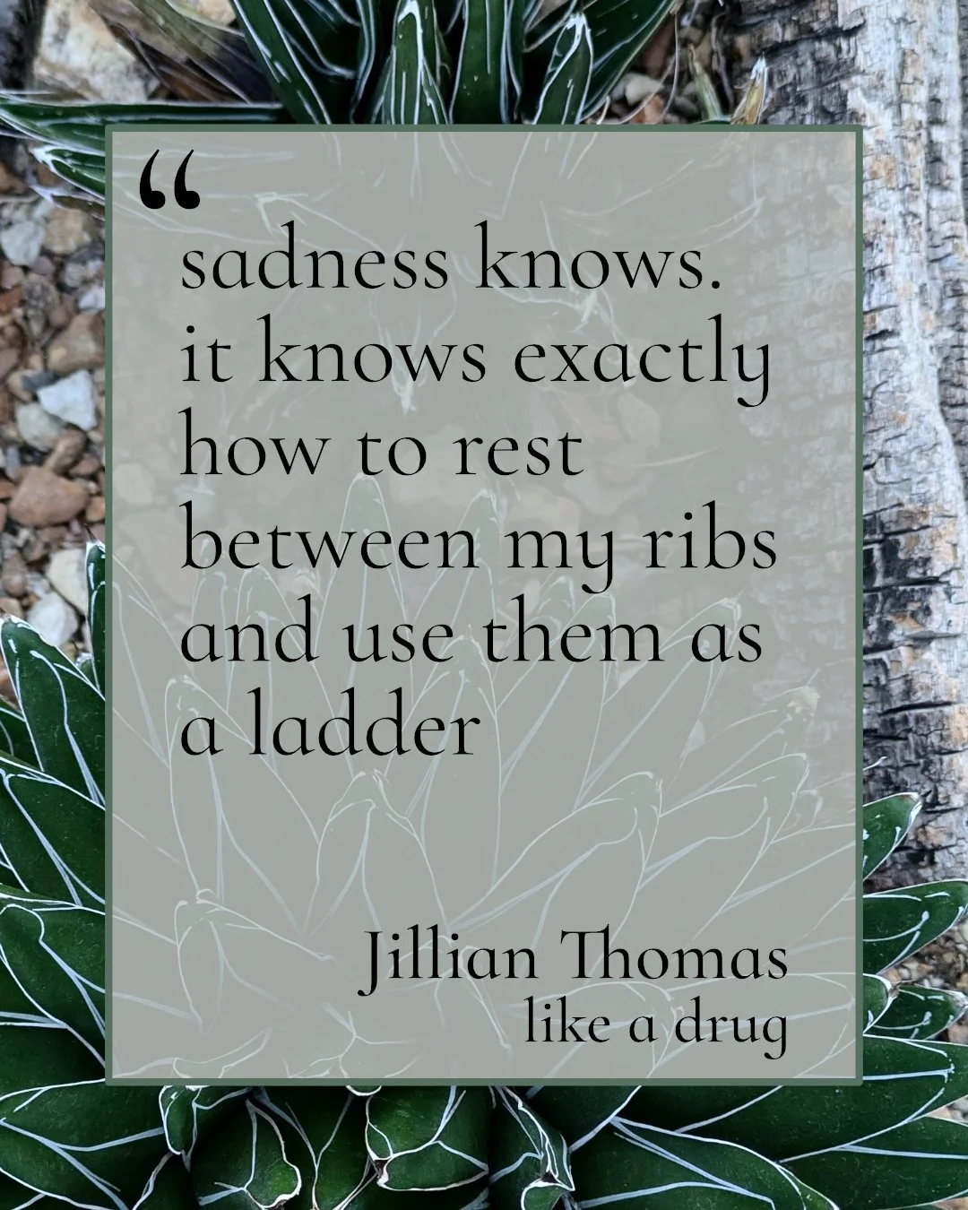 Jillian Thomas