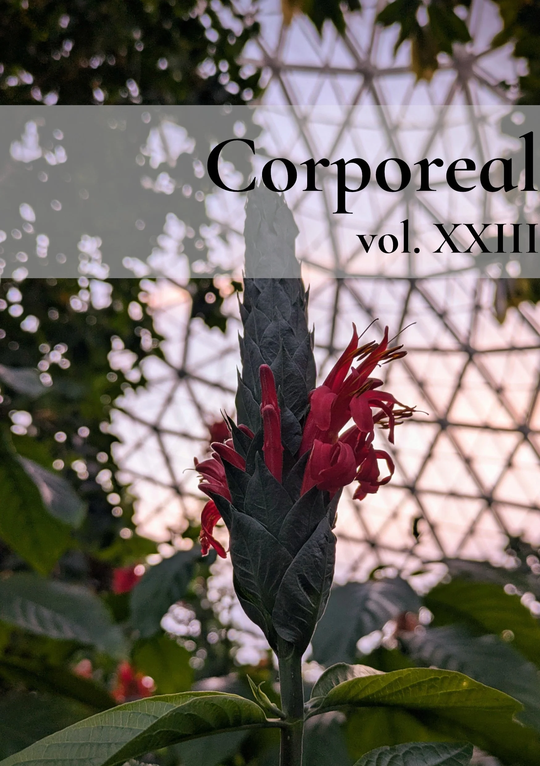 vol xxiii_1.jpg