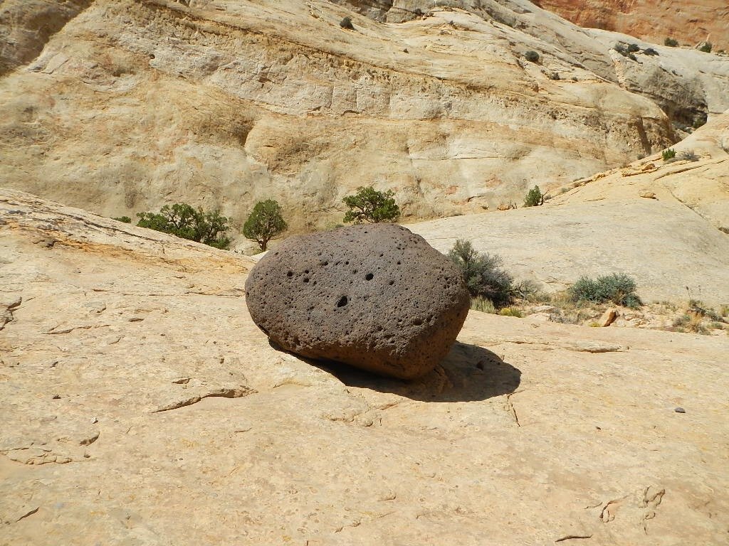 DSCN0554.jpeg