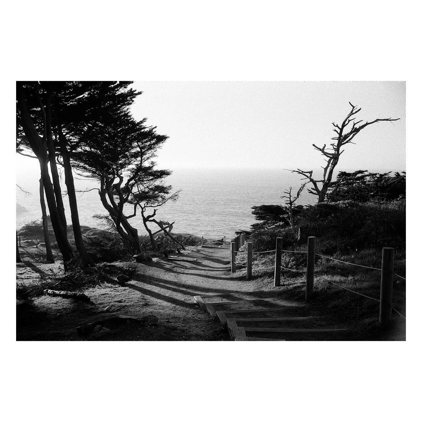 Some more #bnwphotos from the recent #leicam6 roll