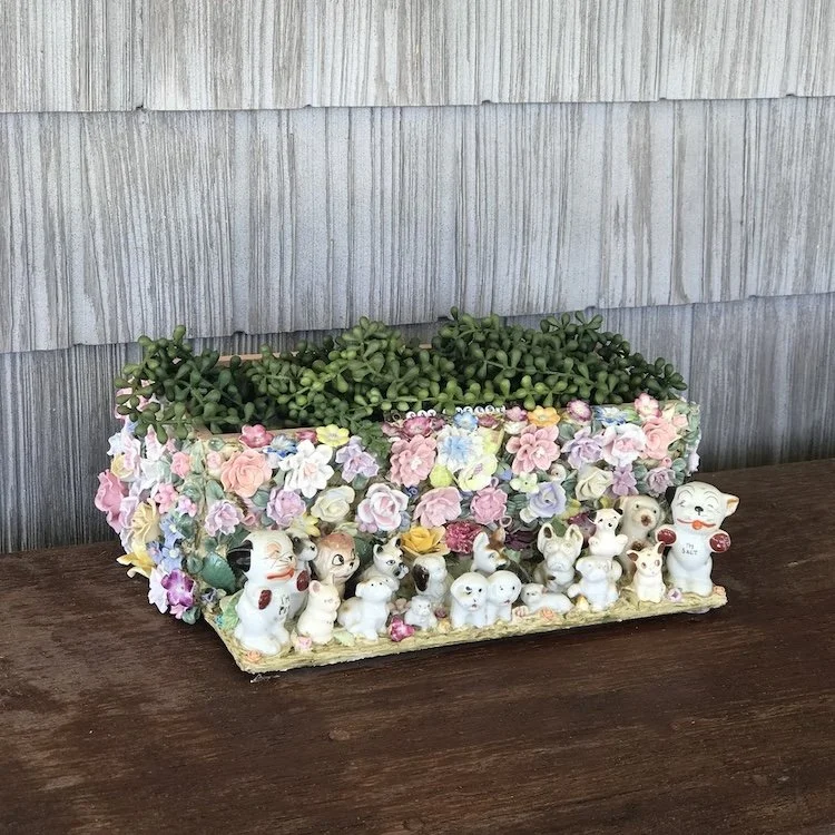 Pups' Photo Shoot
planter