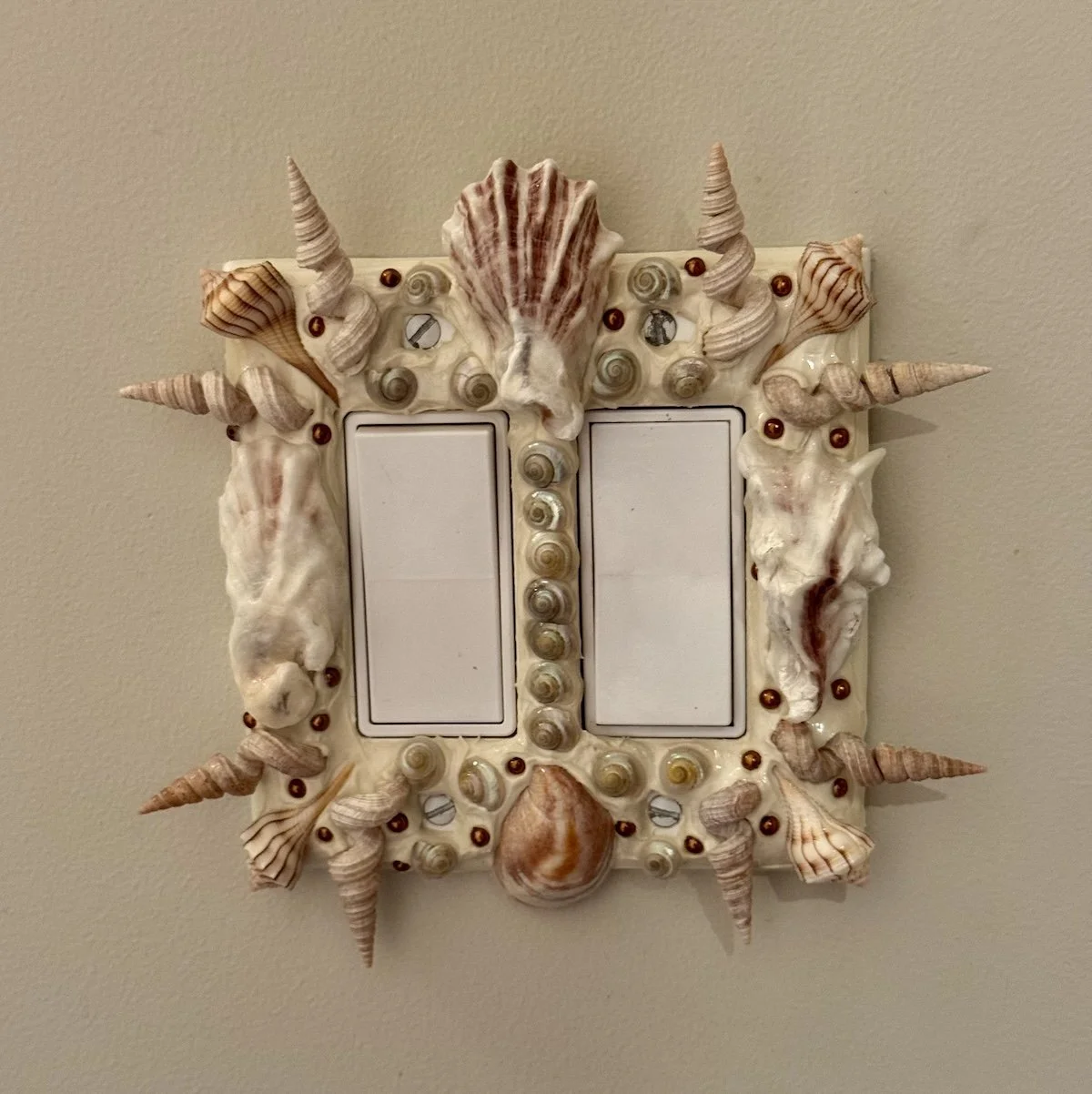 Sunrise at the Beach
light switch cover