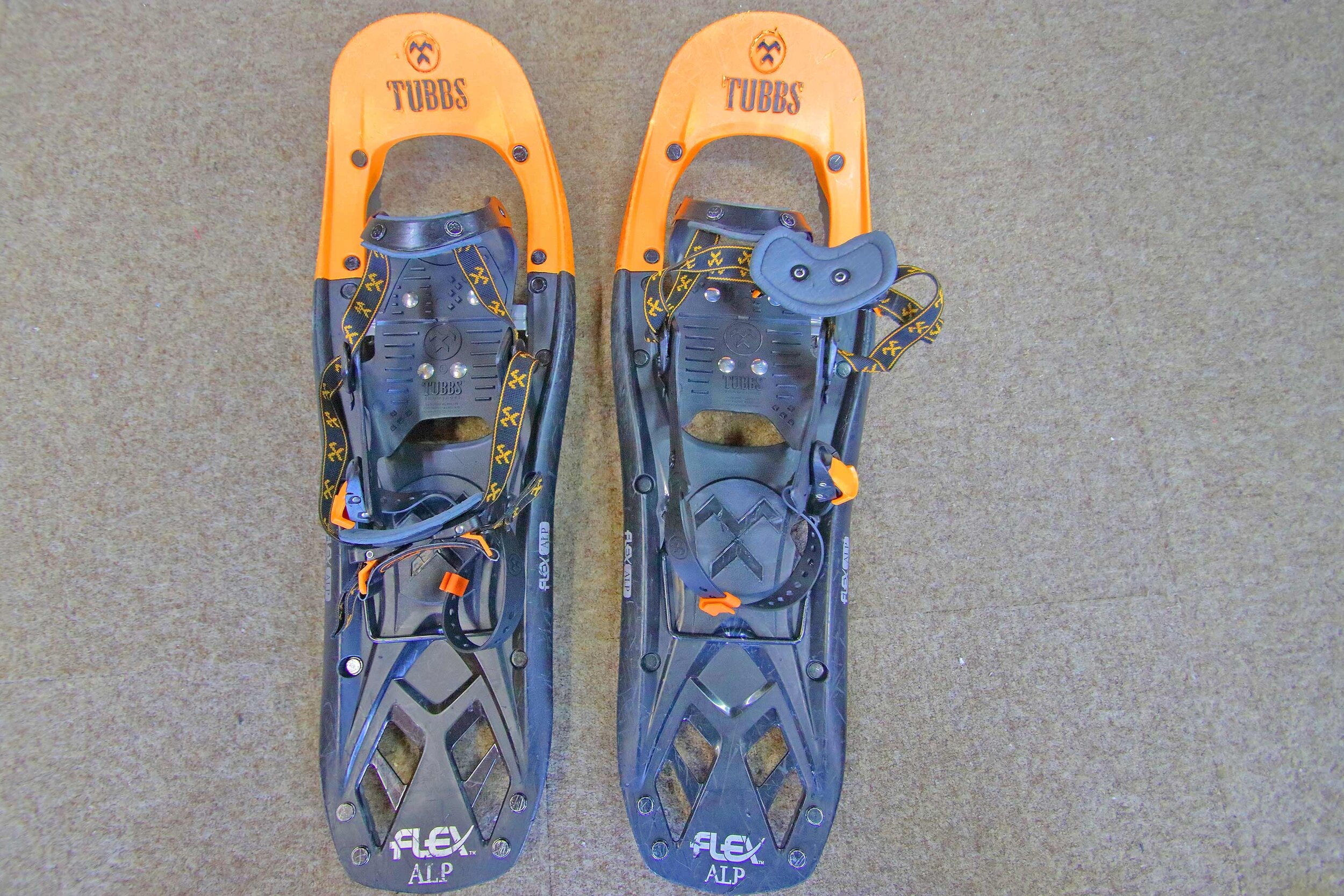 Snow-shoes.jpg