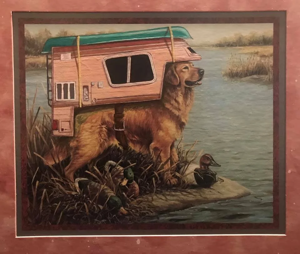 After Charlie’s mishap in 2014 of hunting a rare Water fowl, Charlie is back after his 5 year hunting suspension. Taking off early from work on Wednesday, he staked his favorite camping spot. Armed this year with the latest edition of Birds of North…