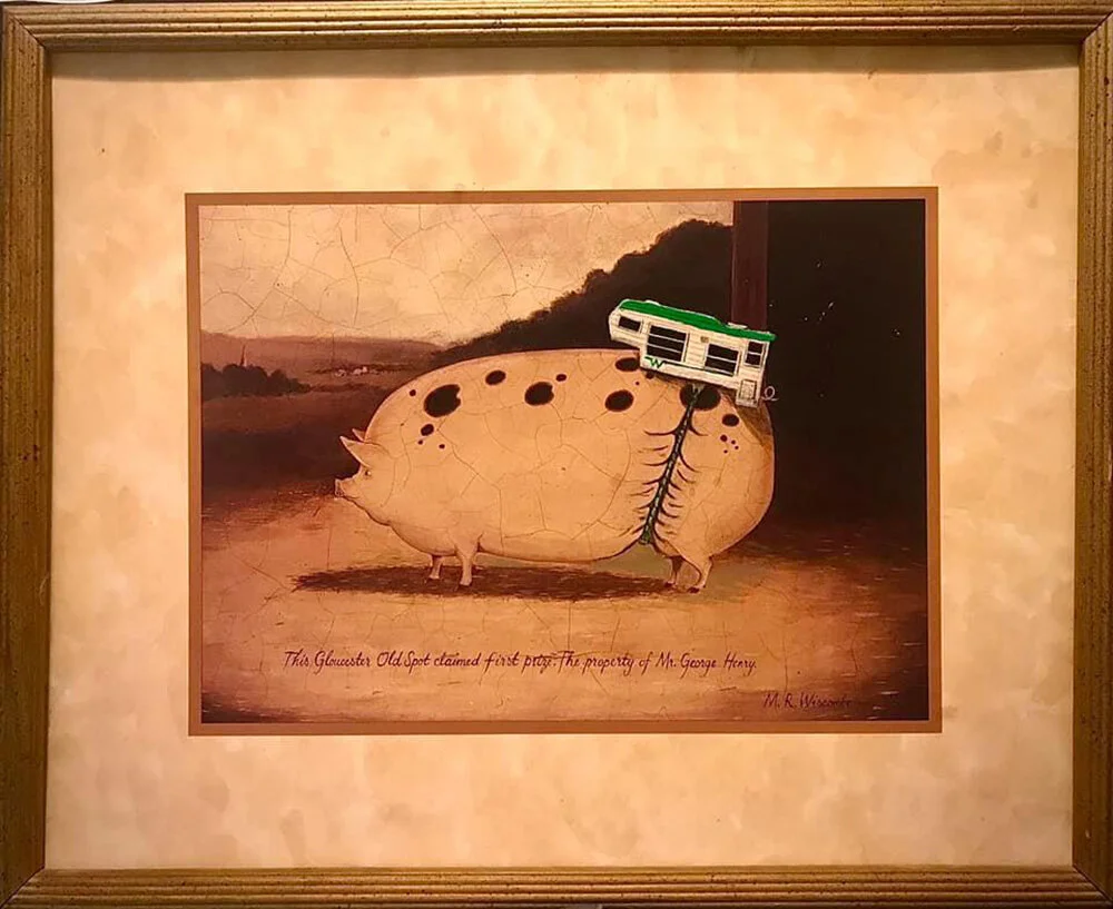 With the cancellation of The local Minnesota State Fair, Winston had to pack up his camper and head to the nearest Phase 4 state. Look out Idaho, Winston is coming to claim that prized blue ribbon.Original Painting for sale in the shop!