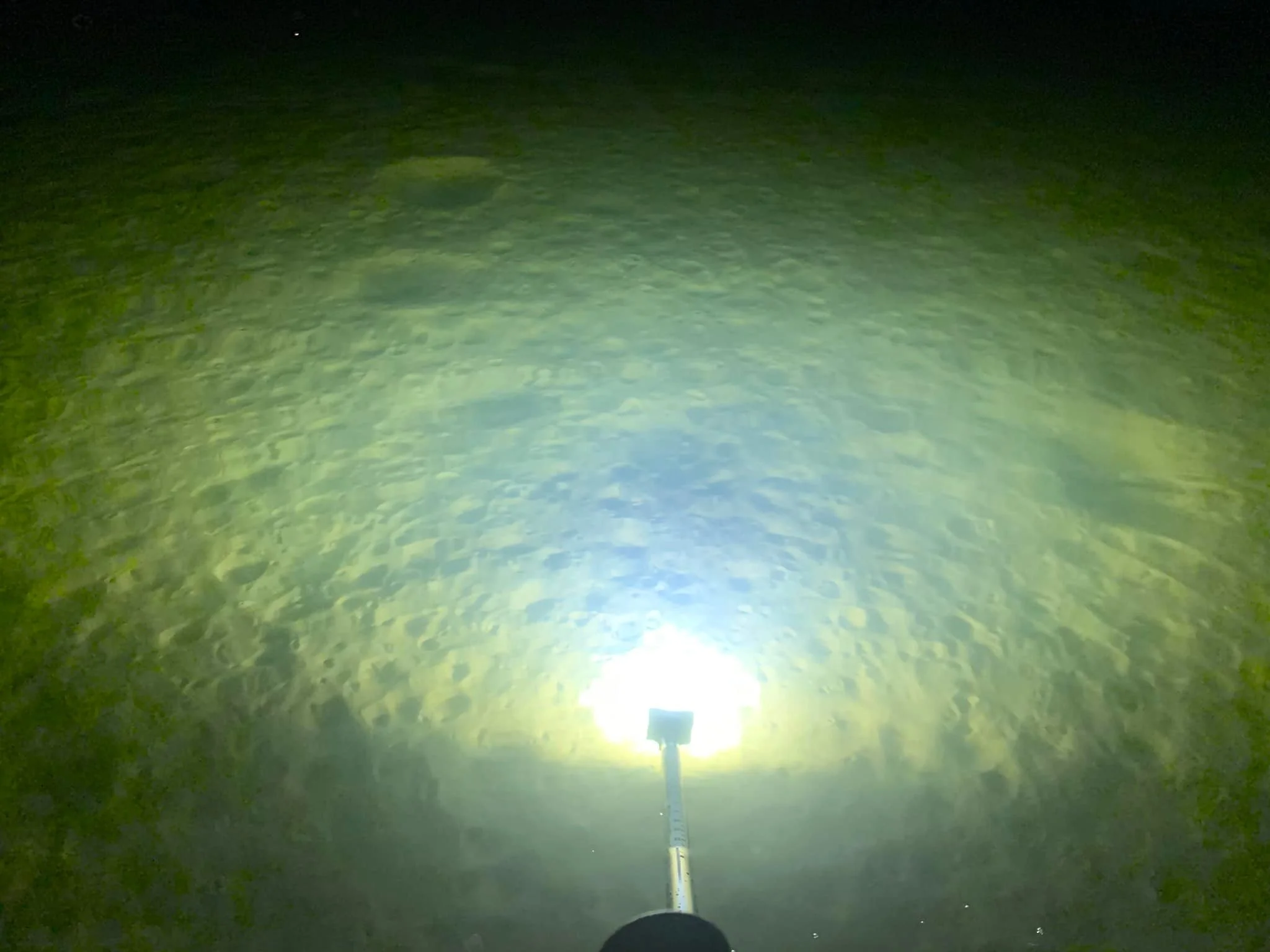 light 3.jpg