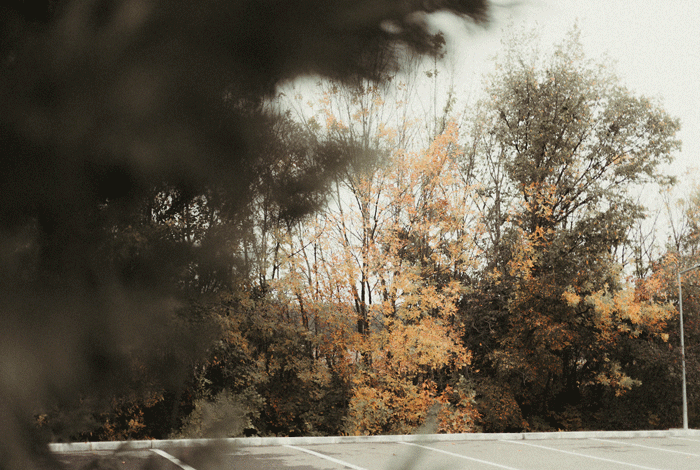 gif1.gif